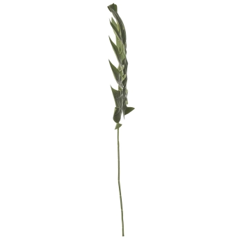 Liść