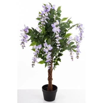 Drzewko Dekoracyjne Wisteria