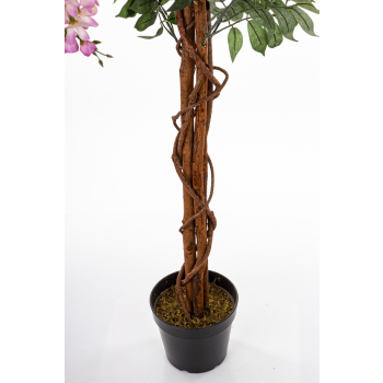 Drzewko Dekoracyjne Wisteria