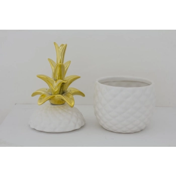 Pojemnik Ananas